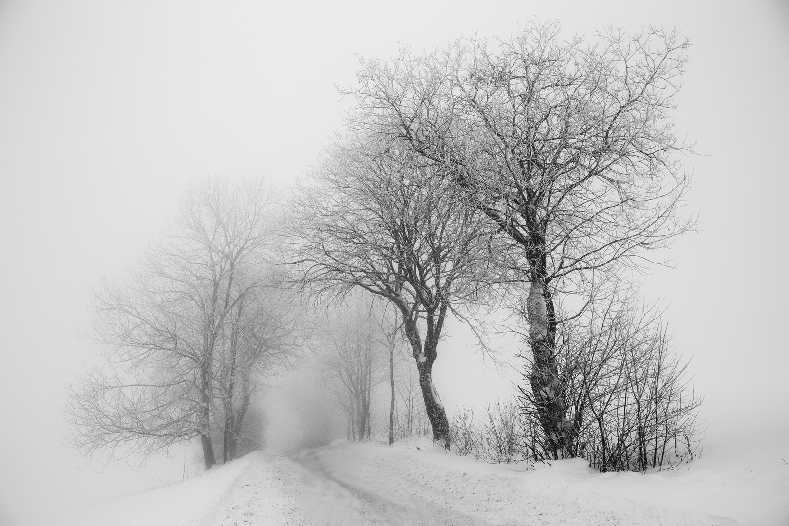 Winter in der Rhön