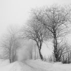 Winter in der Rhön