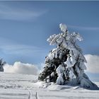 Winter in der Rhön