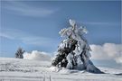 Winter in der Rhön von - Edith Vogel