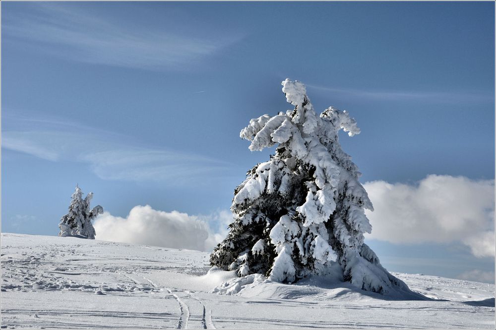 Winter in der Rhön