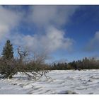 Winter in der Rhön