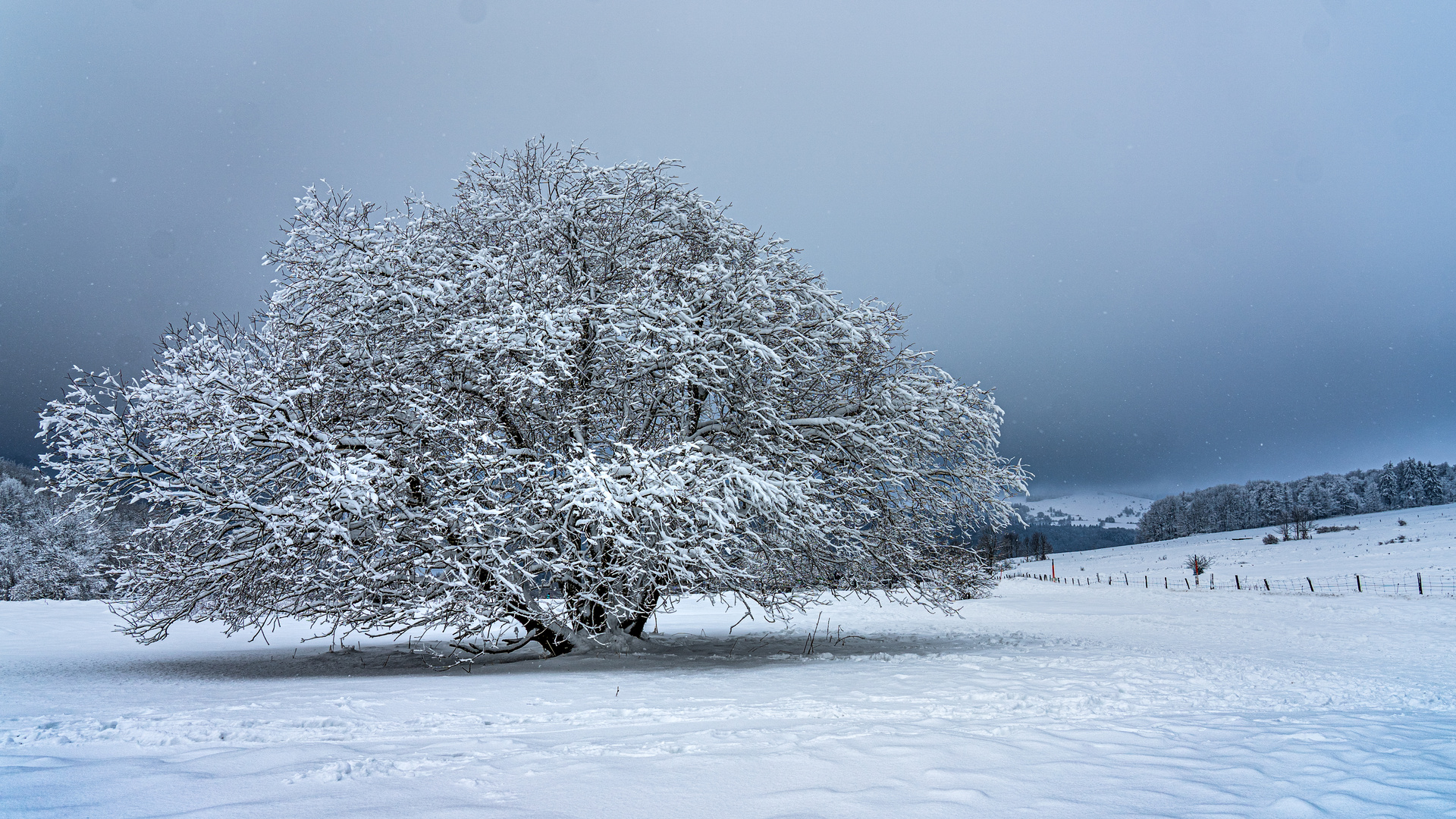 Winter in der Rhön