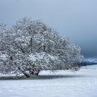 Winter in der Rhön