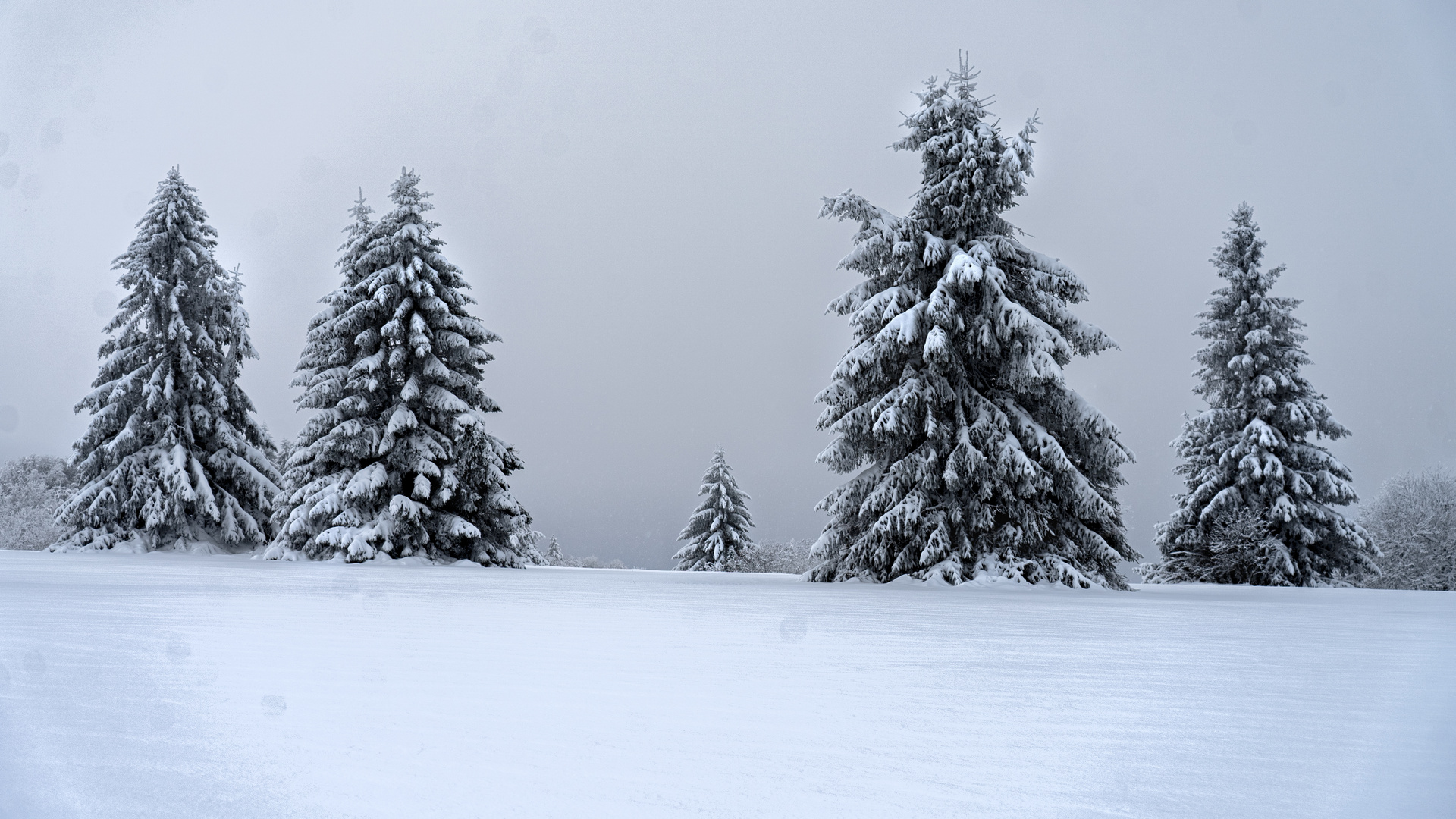 Winter in der Rhön II