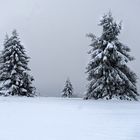 Winter in der Rhön II