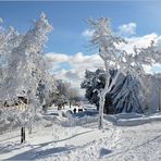 Winter in der Rhön II.....