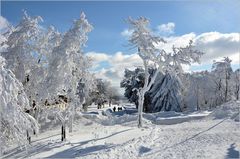 Winter in der Rhön II.....