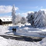 Winter in der Rhön III......