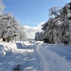 Winter in der Rhön IV.....