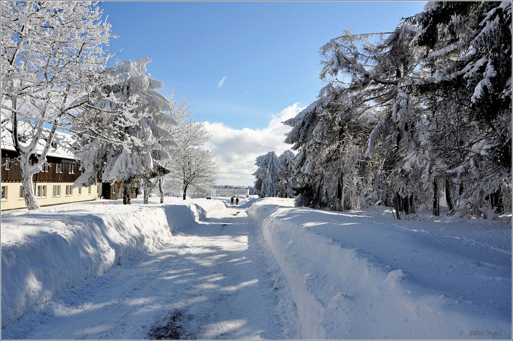 Winter in der Rhön IV.....