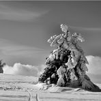 Winter in der Rhön s/w...