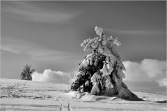 Winter in der Rhön s/w...