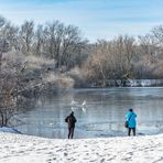 Winter in der Ricklinger Masch I - Hannover