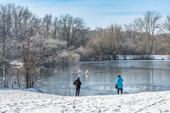 Winter in der Ricklinger Masch I - Hannover