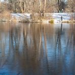 Winter in der Ricklinger Masch III - Hannover