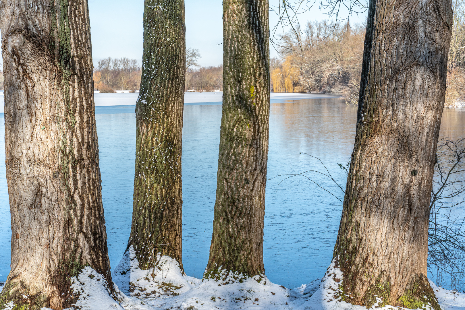 Winter in der Ricklinger Masch XI - Hannover