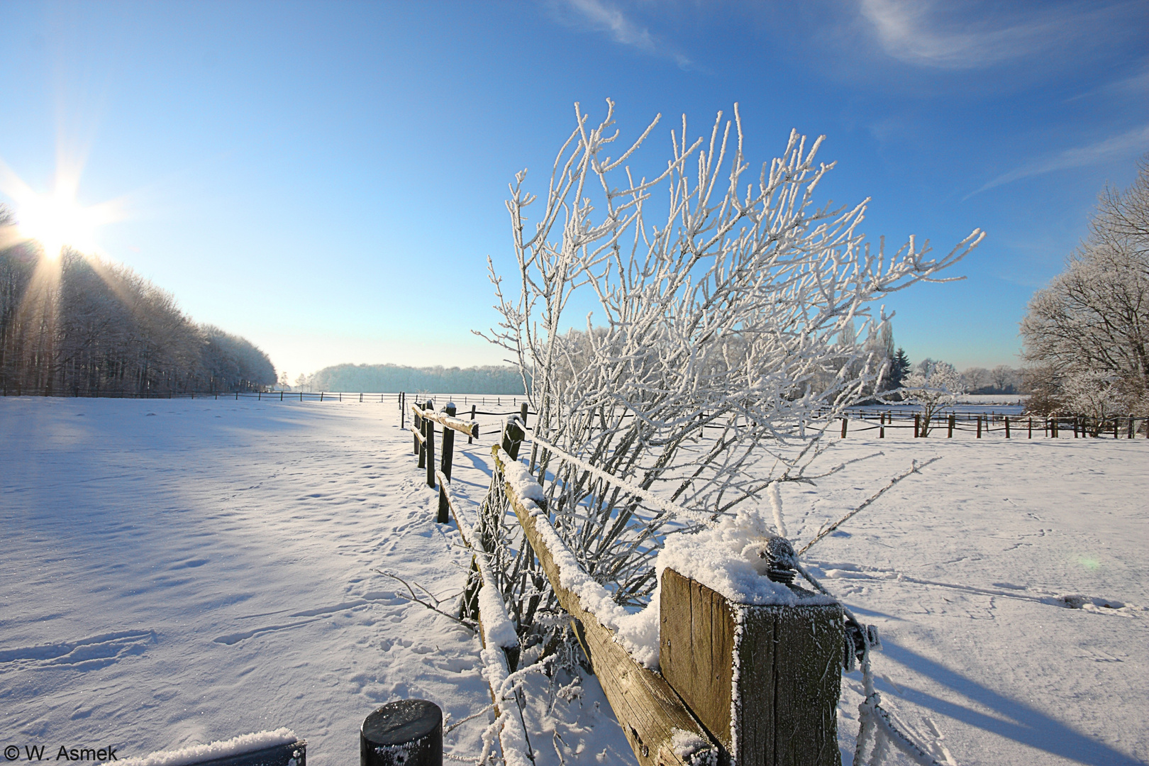 Winter in der Ried