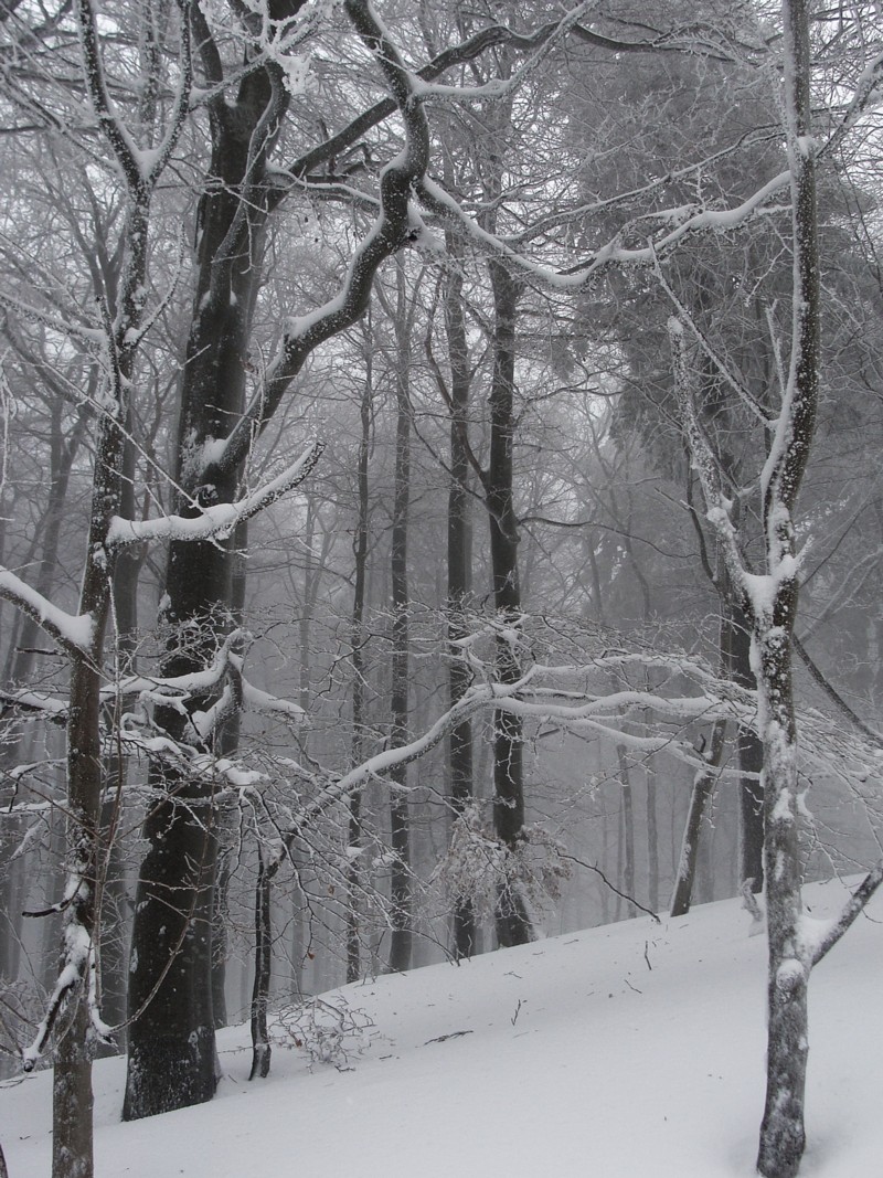 winter in der röhn