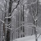 winter in der röhn