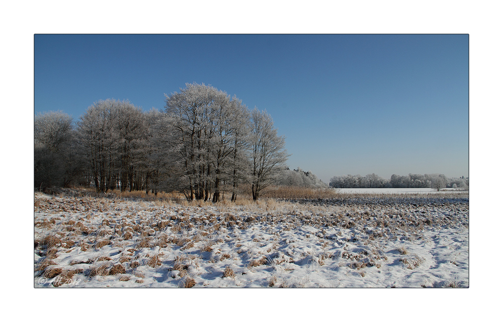 Winter in der Schneckengrüner Heide - 2