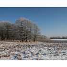 Winter in der Schneckengrüner Heide - 2