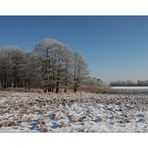 Winter in der Schneckengrüner Heide - 2