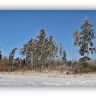 Winter in der Schneckengrüner Heide 3