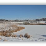 Winter in der Schneckengrüner Heide 4