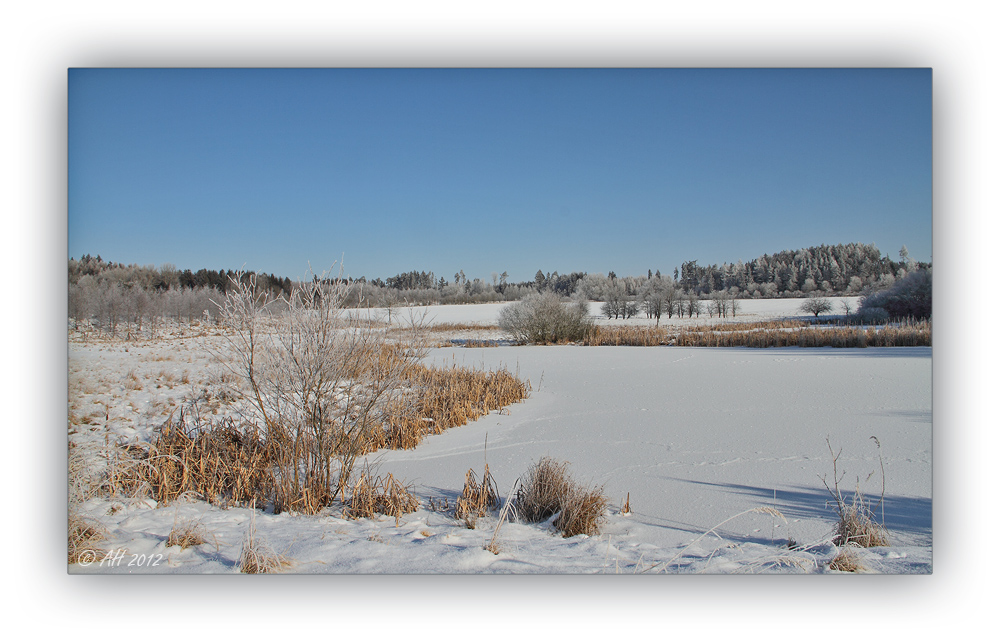 Winter in der Schneckengrüner Heide 4