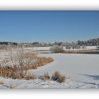 Winter in der Schneckengrüner Heide 4