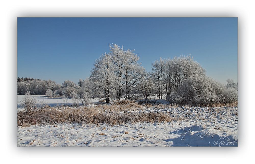 Winter in der Schneckengrüner Heide - 6