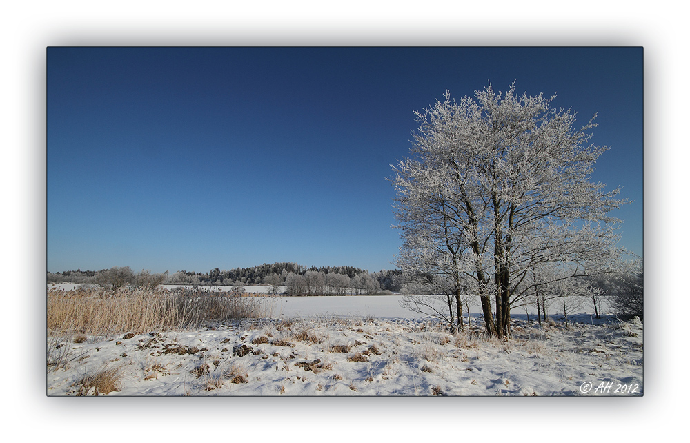 Winter in der Schneckengrüner Heide