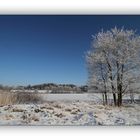 Winter in der Schneckengrüner Heide