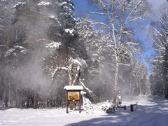 Winter in der Schorfheide