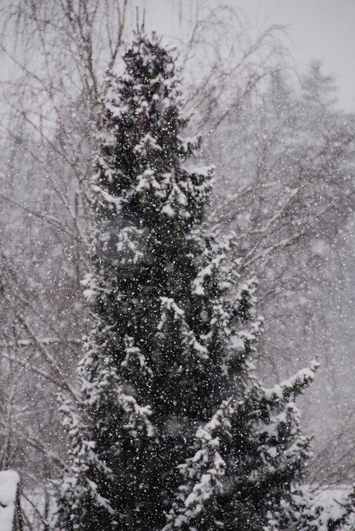 Winter in der Schweiz