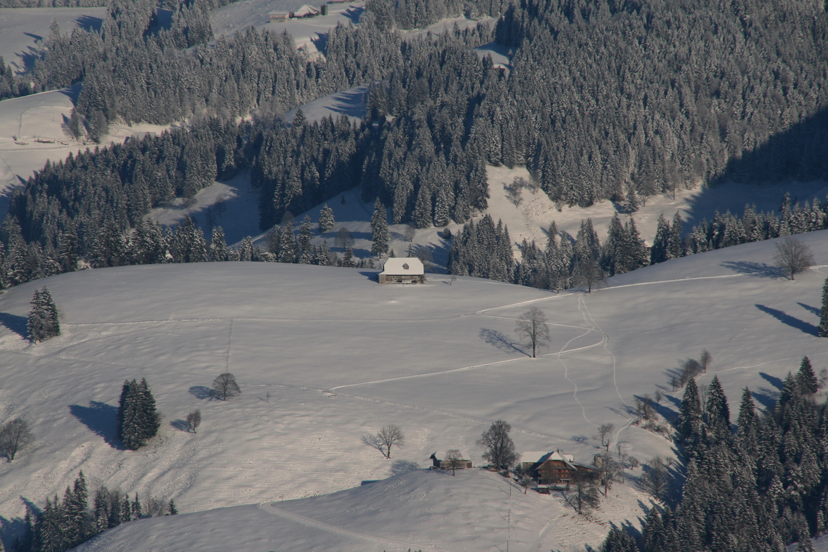 Winter in der Schweiz