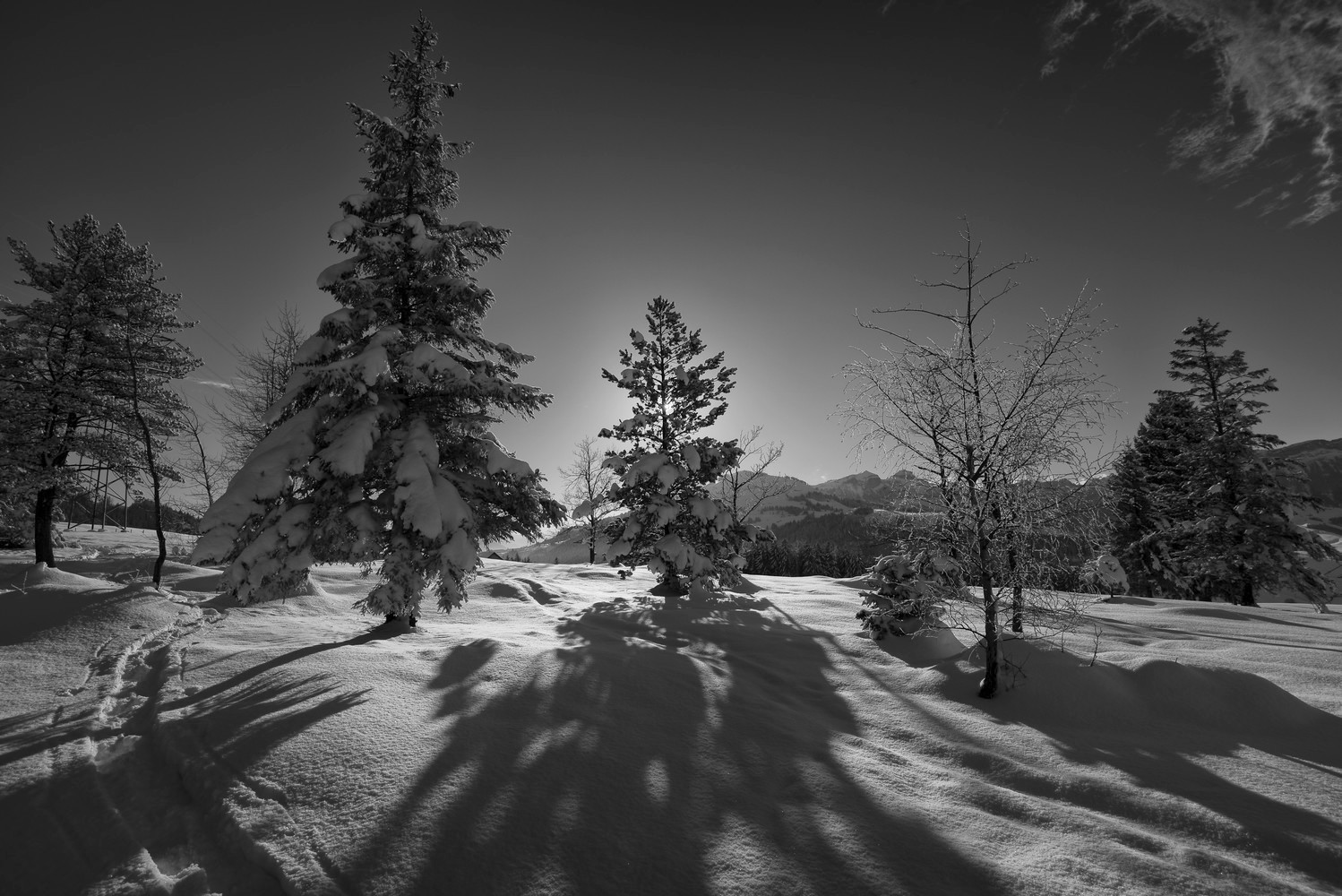 Winter in der Schweiz I