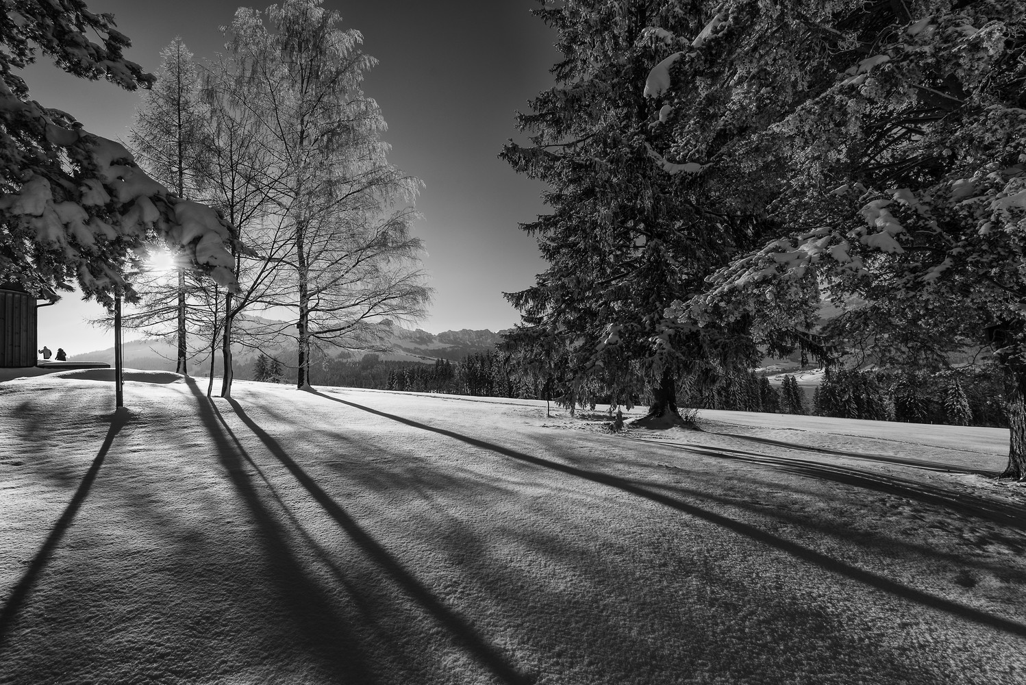 Winter in der Schweiz II