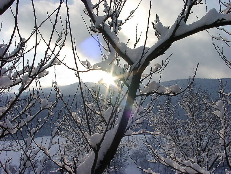 Winter in der Slowakei