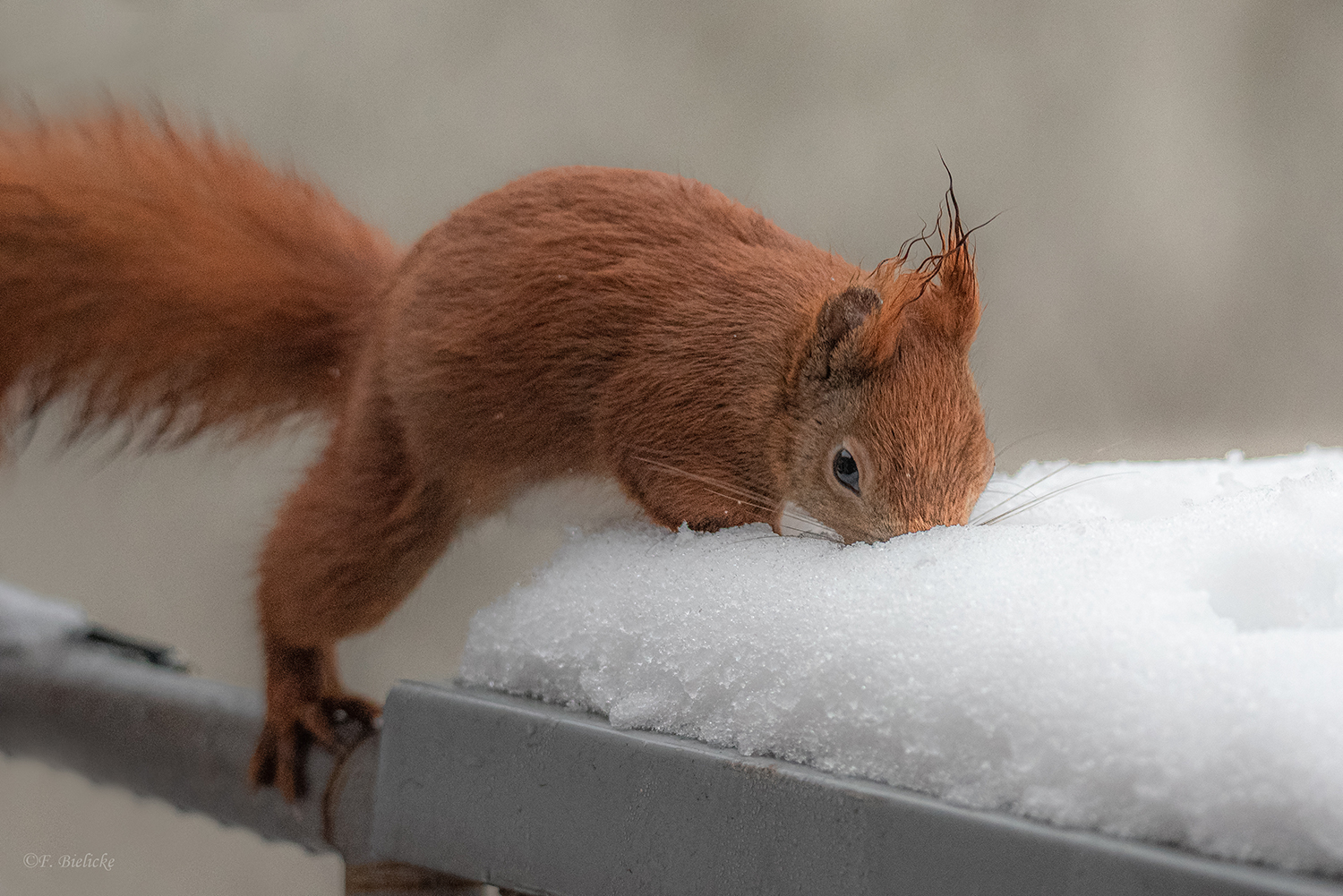 Winter in der Stadt...