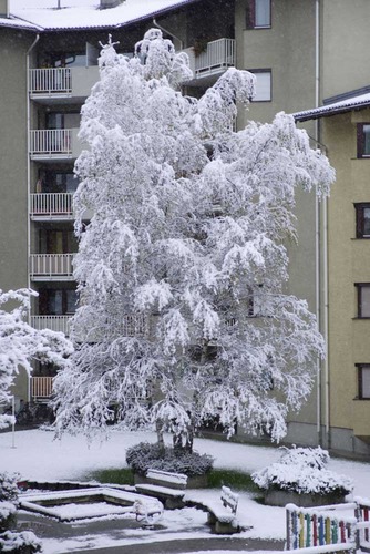 Winter in der Stadt