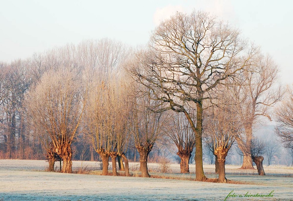 Winter in der Stadt 2