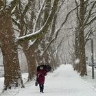 Winter in der Stadt