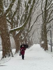 Winter in der Stadt