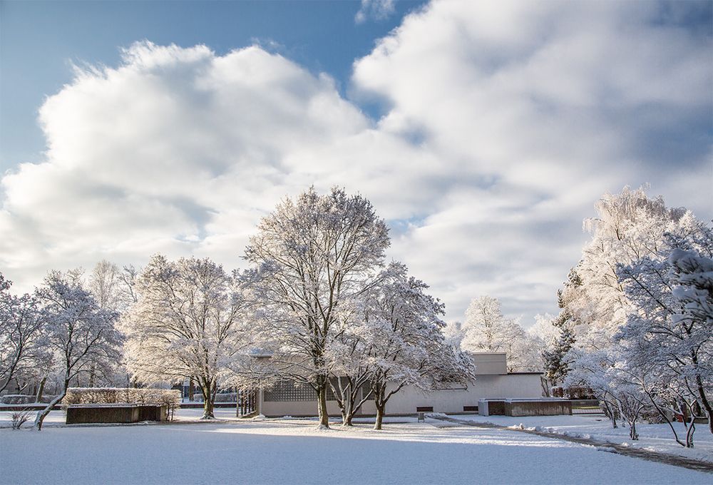 Winter in der Stadt