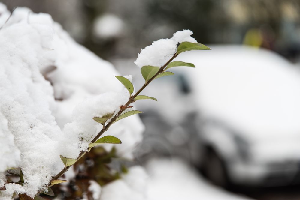 Winter in der Stadt