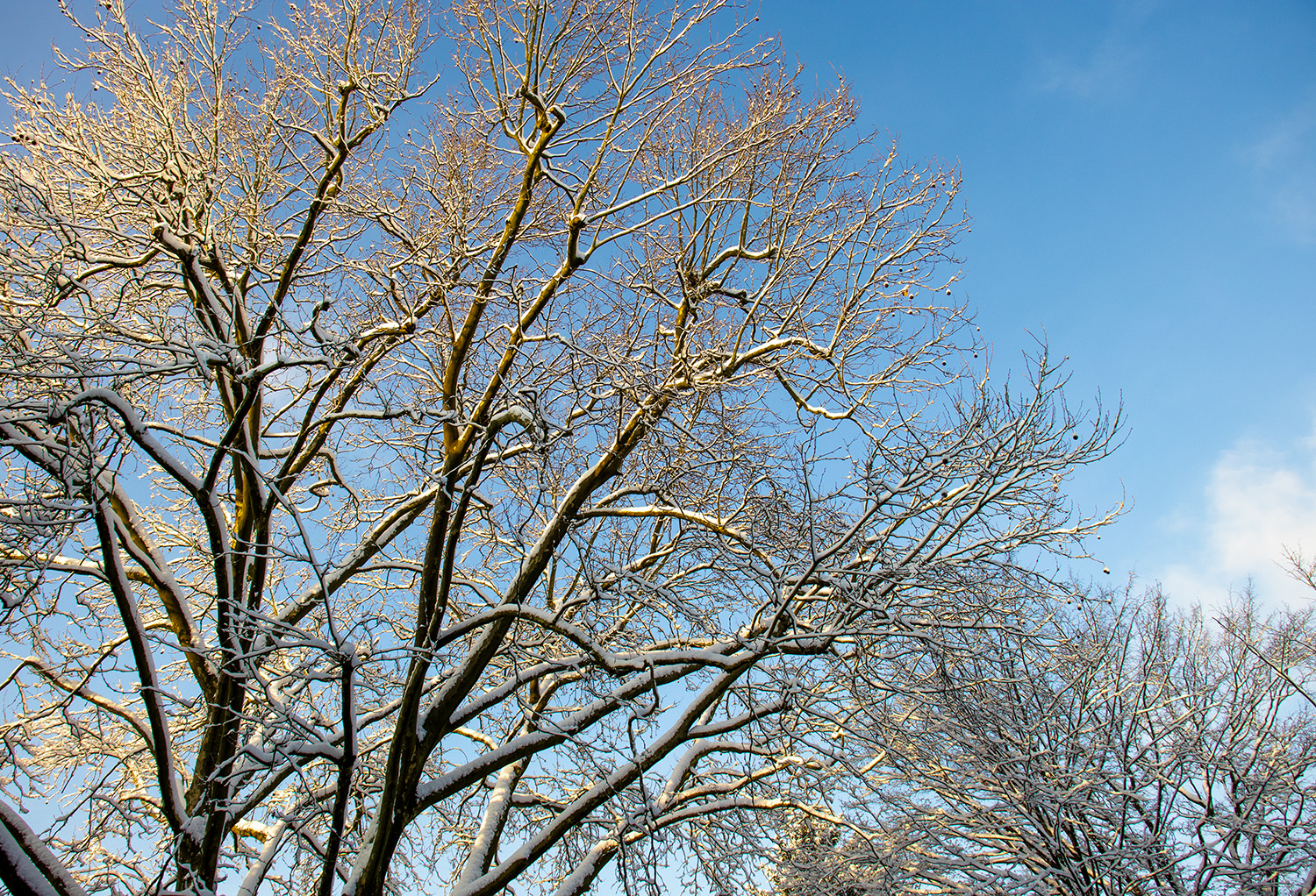 Winter in der Stadt