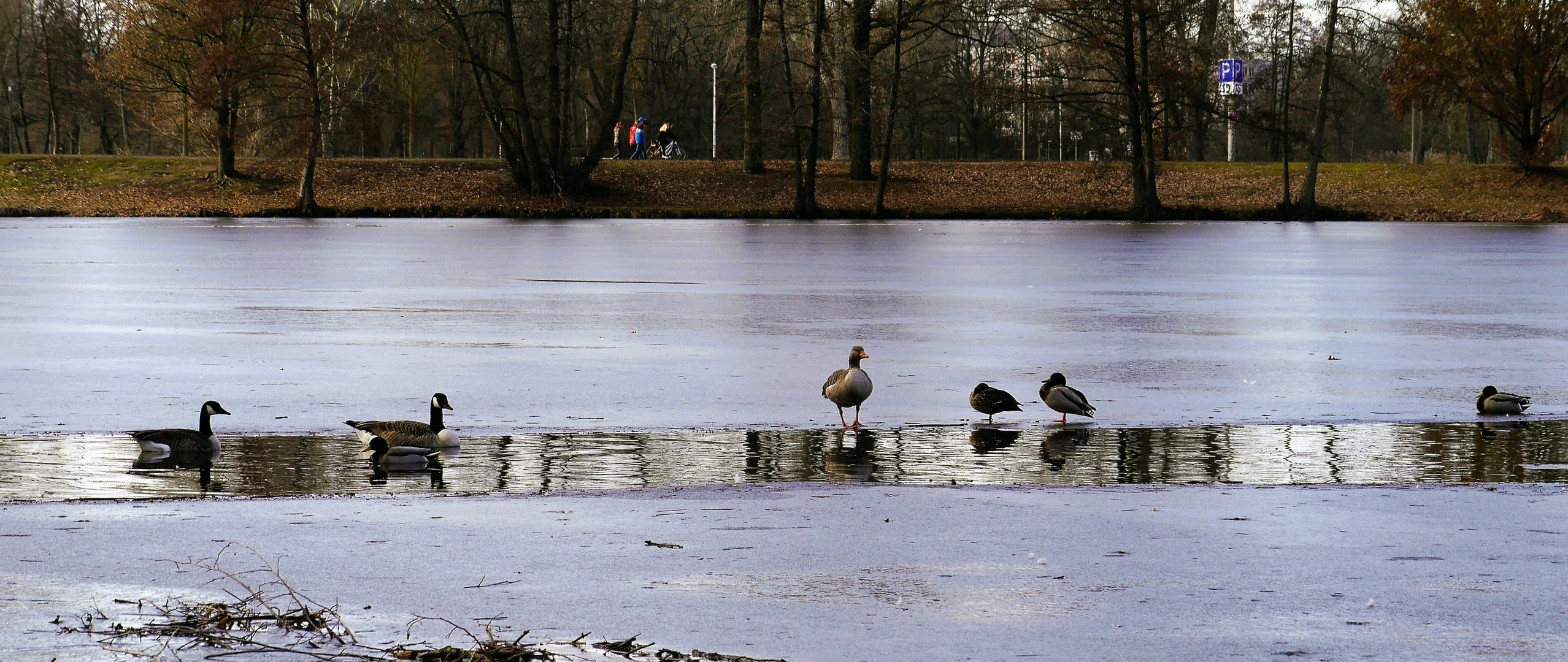 Winter in der Stadt