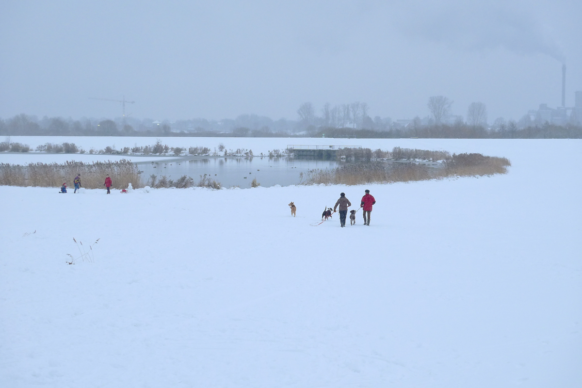 Winter in der Stadt